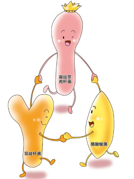 如何給寶寶選擇益生菌？