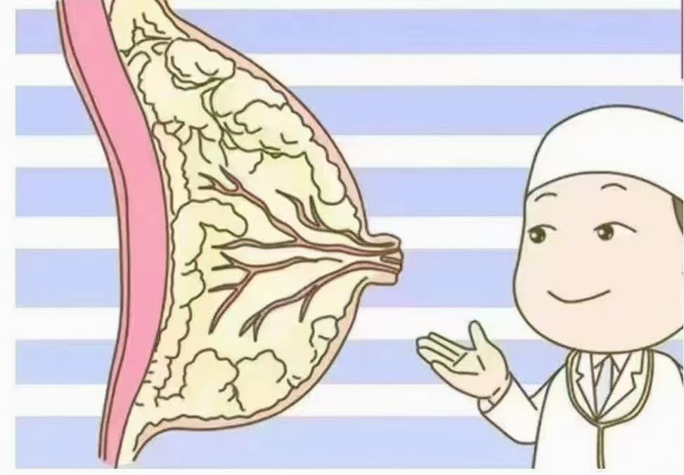 6步疏通奶結(jié)，告別乳房脹痛，月嫂必學(xué)！